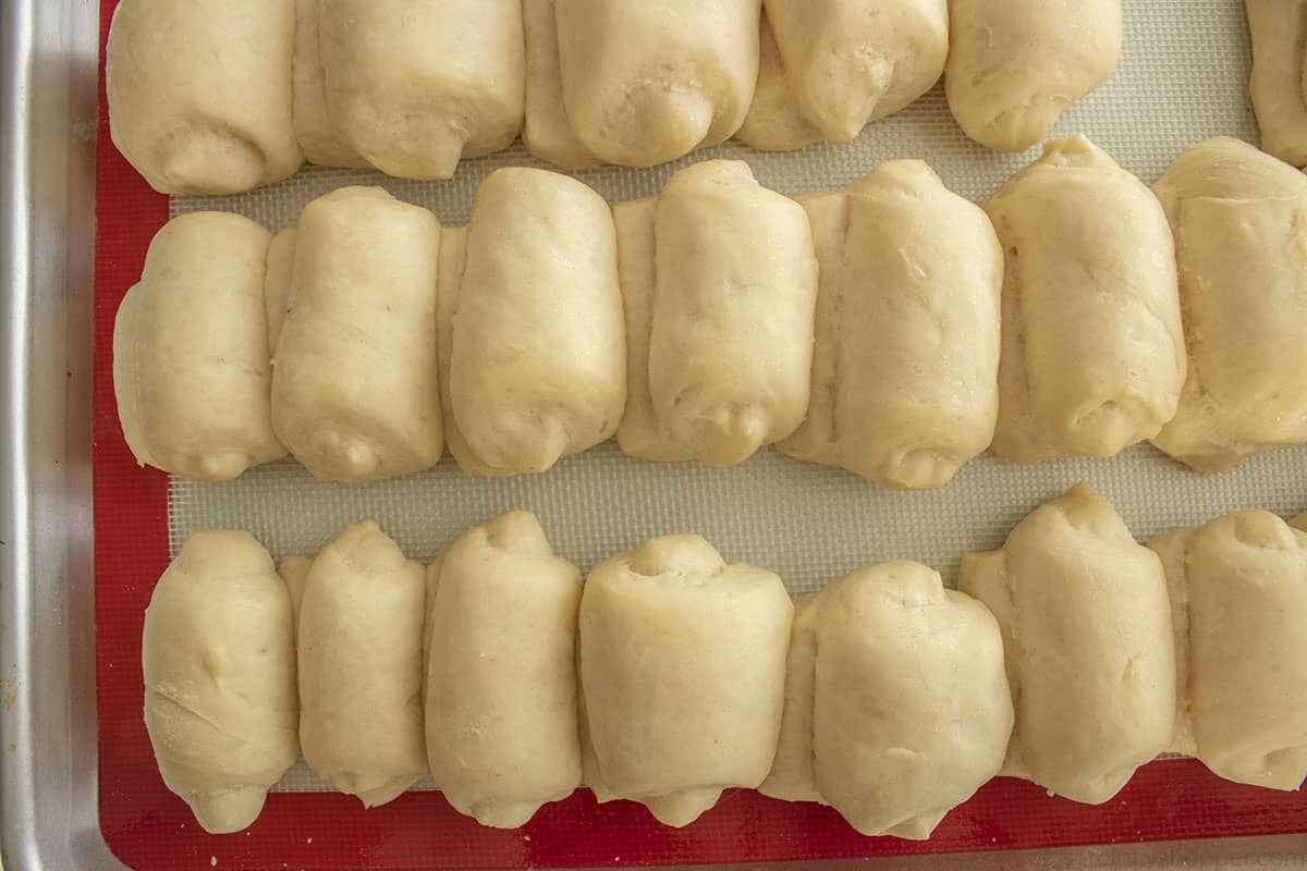 Proofed Lion House Rolls.