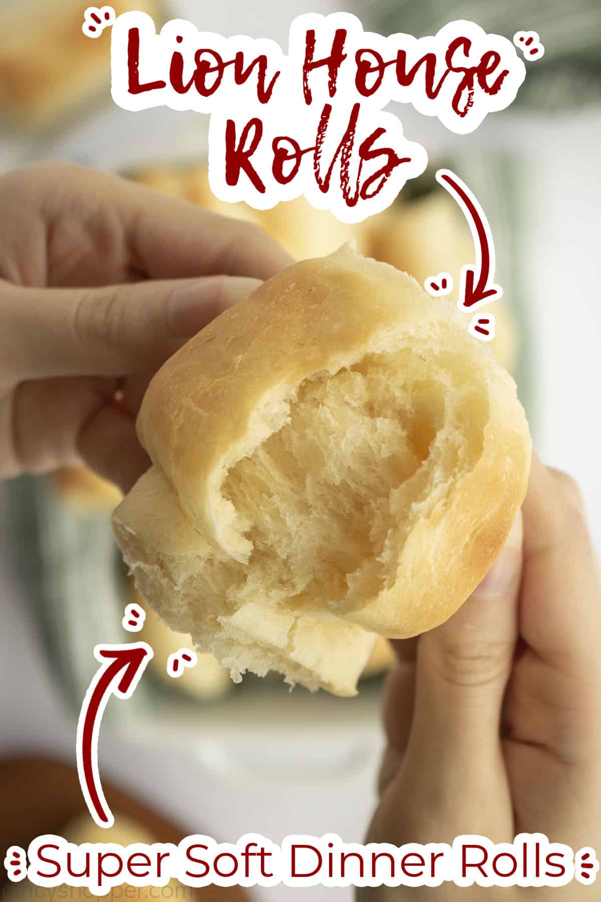 Closeup of inside of Homemade Dinner Rolls with text on image Super Soft Dinner Rolls.