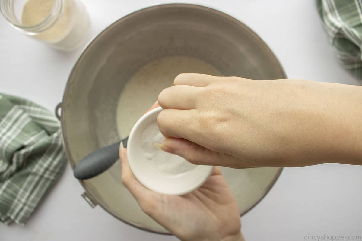 Adding a pinch of salt to milk mixture.
